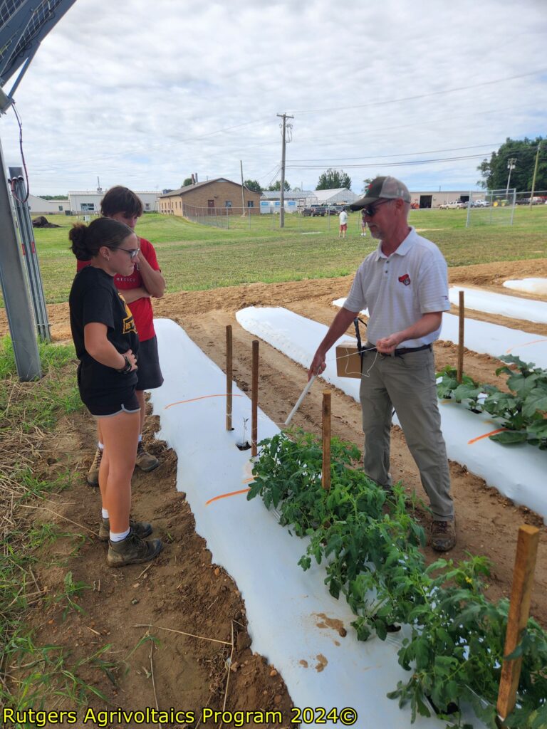 Pete Nitzsche speaking with workers about tying crops to keep plants from falling.