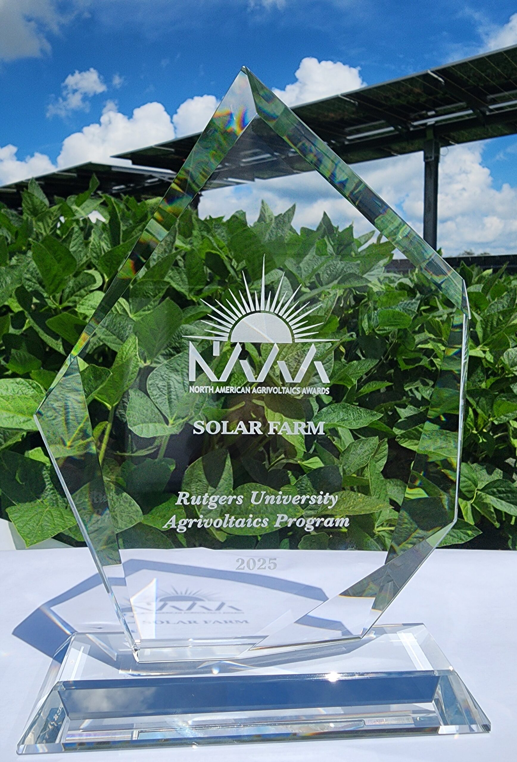 NAAA Solar Farm Award 2025