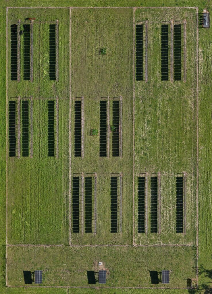 Drone orthomosaic showing the site from 100 feet above ground level
